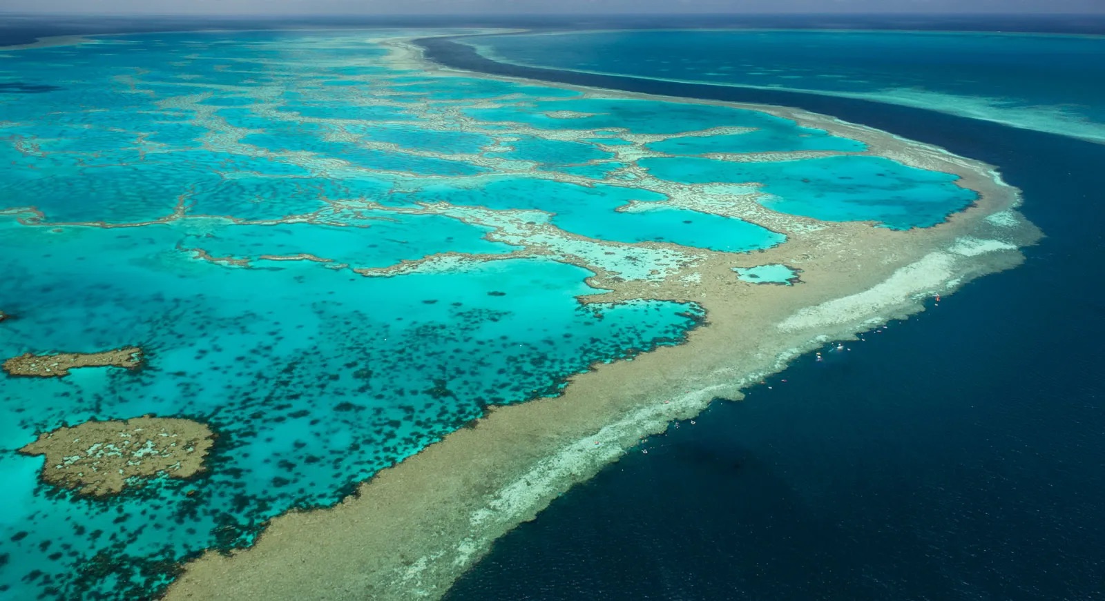 Barrier Reef